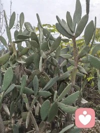 以我们自己现有的能力来讲，评价别人，我们很难把握精准的分寸，所以即便是同学好友之间的闲聊，也一定要管好自己的口舌，否则不经意间说出一些对别人的负面评价，就可能被传成喜欢背后说别人坏话，甚至我们的话语还可能被无限放大，有意曲解，严重影响我们的个人形象以及社交关系，遇到这种情况可顾左右而言他，是个不错的方法，这样既可以不参与负面传播，用智慧保护自己和他人，也能够避免成为矛盾的导火索。