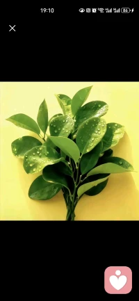 做好自己就是最好的配图