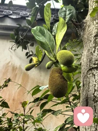 春天爬山最幸福，允许自己做自己。配图