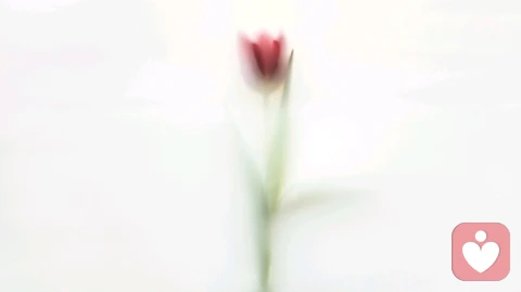 她抗拒亲密，是因为不敢被看见