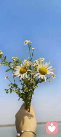 允许自己慢一点，允许自己不够完美，允许情绪有处可去。
你不是孤单一人，也不是不够好，你只是走了一段有点累的路。
 
慢慢来，没关系。
被看见、被理解、被温柔以待，从你开始接纳自己的那一刻，就已经在发生了。配图