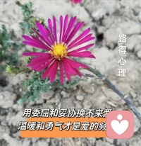 用委屈和妥协换不来爱❤️，温暖和勇气才是爱的频道🥰
💖欢迎联系我——情感挽回心理赋能师——配图