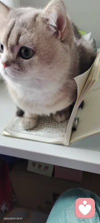 觉醒认知：
该改的不是命
是你看待事物的眼光
换个角度，收获不一样的人生