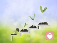 不必等万事俱备，不必追求完美无缺，行动本身就是治愈焦虑的良药。为眼前的每一分每一秒去努力，专注内心的丰盈，把握当下的幸福，才能拥有美好的未来。🌻🌻