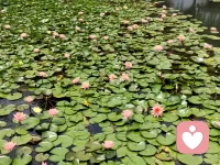 孟浩然的诗句“留别王维：寂寂竟何待，朝朝空自归。欲寻芳草去，惜与故人违。当路谁相假，知音世所稀。只应守寂寞，还掩故园扉。”读罢，除了对诗人的孤寂倍感凄惶，还多了幸福感，当代，通信高度发达，信息秒回，可说、可看，随时在身边，哪怕不能跟熟人聊，还有给力这样的网上平台，找陌生人聊！何等的幸福！