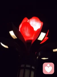 情人节，为什么要设这个节呢？因为人们平日里忽视了“情”！如果您做个有温度有心有情的人，平时里把情表达得很充分，那么每天都是节！每天过节多么快乐！配图