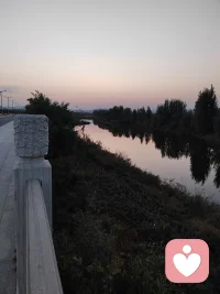 我们每一个人，尤其是孩子，都有希望被关注、被肯定的自然需求。当这些需求得不到满足时，人们就会感觉像是生活在一片贫瘠的土地上，虽然能生存下来，却得不到充足的滋养。对我来说，那感觉就像身体里有一个地方是空的，仿佛心中有个洞。—《大脑幸福密码》配图