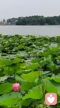平均来说，一个人大约只有1/3的内在力量是与生俱来的，并以遗传的形式表现在他的气质、才能、情绪和个性中。另外2/3的内在力量则是在成长过程中日积月累建立起来的，通过培养便可获得。我们是可以建立起像幸福感这样能够增强满足感、爱心、效率、智慧、内在的平和等内在力量的。配图