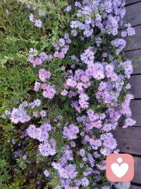 总有人比你厉害，比你聪明、比你身体好、比你会沟通、比你家世好、比你努力、比你长得好、比你高、比你有钱……你长到现在，也是经过了自己的拼搏和努力的，你也不差，想一想，你的某些高光时刻……所以，看别人有方向（像那些优秀的人学习）、看自己有信心（我也不差！）