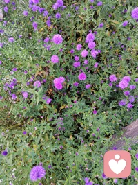 每个夜晚来临的时候，都是几家欢喜几家愁。也许你有些话不能跟家里人说，也不方便告诉朋友，我在这里，愿意倾听你内心的声音……