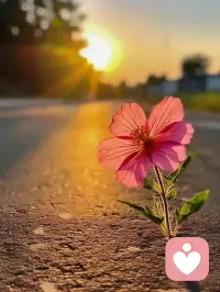 听你说，听你哭，听你慢慢释怀，请相信，你不是孤单一人，总会有人能接住你的情绪，陪你慢慢度过一段难走的路。。。