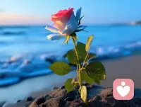 情绪没有对错，每一种都值得被看见。。。