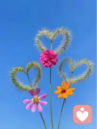 你的情绪值得被看见

你的难过不是矫情

你不用一个人硬扛

愿每一个孤独的灵魂

都能被温柔接住