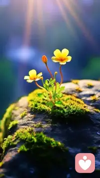 你逆光而来，配得上这世间一切美好！配图