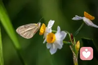 总会遇到形形色色的人，有的人喜欢你，有的人讨厌你，但是没有关系，这并不影响自己的初心，在这里等候的每一刻，都有一份坚定的温柔为你守候。。。配图