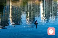 在世间的某个角落，我等着你。。。配图