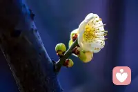 不必在意他人的目光，活成自己喜欢的样子！配图