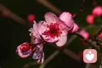 你本真的样子，是安静也温柔，脆弱也勇敢，是不完美却独一无二。配图