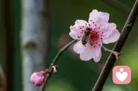 温柔接纳和倾听你的情绪，在这里可以安心，放心的诉说。。。配图