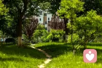 接纳自己的脆弱，也允许自己流泪，谁还不是被生活一次次撞击之后，才看清自己，成为自己呢。。。配图