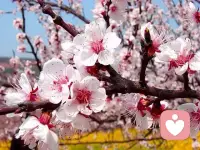 允许是一种强大的力量，允许一切发生，允许一切如其是！配图