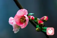 人并非因为衰老而停止热爱，
而是因为停止热爱才真正衰老。配图