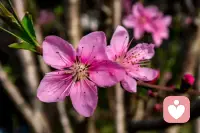 别和生活较劲

别为难自己

能笑时就别皱眉

开心时就别难过

人生不需要完美

活得是一种心情配图