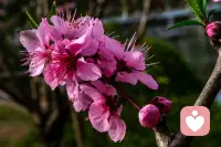 别和生活较劲

别为难自己

能笑时就别皱眉

开心时就别难过

人生不需要完美

活得是一种心情配图