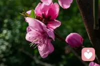 别和生活较劲

别为难自己

能笑时就别皱眉

开心时就别难过

人生不需要完美

活得是一种心情配图