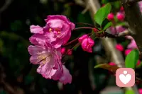 想要不内耗，就要在精神上不受力，学会课题分离。别人对你怎样，是别人的事情。你如何看待自己才是最重要的。不因别人说什么，做什么而影响自己，稳定好自己的内心，守好自己的节奏，专注做自己。配图