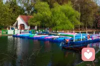 生活没有解药，但有布洛芬和咖啡，
一个治愈身体上的痛，一个治愈精神上的累！