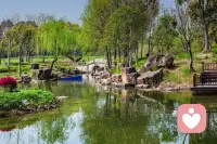 无论你过去是怎样的，你都有能力重养自己，让自己重新散发光彩。

重养自己，就如同凤凰涅槃，每一次自我突破都是从灰烬中重生，让过往的忧伤与痛苦化作那燃烧的火焰吧，不必畏惧，因为真正的成长，来自破茧而出的勇气，放下包袱，轻装上阵。