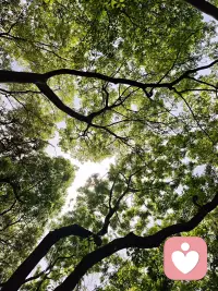 我听到一个精神科的副院长说了一句话，特别有道理，强烈建议打印出来，他是这么说的：你至少必须拥有一个不良嗜好来拯救自己，这是维持内在生命力不至于枯竭的源泉。
我觉得这句话真的太有力量了。是啊，人总得有点“不正确”的热爱，用来接住那些撑不住的时刻。不用多完美，不用懂事，不用时刻清醒。一点小放纵，一点小执念，比如喝咖啡、买衣服，买点没用的小东西等等。这些其实是维持心理健康的必要开支，至少可以保证好好的一个人不会上着班、上着课突然就“疯”了。
记住，要允许自己有一处“不讲道理”的角落。