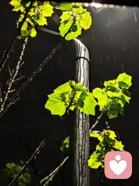 真正的起运，不一定是钱变多了。如果财富涨了，但你的承载力没跟上，驾驭不了，反而会带来更多的烦恼和消耗。这其实不算起运。
起运更本质的标志，是你的行动力突然变强了。想做一件事，不再反复纠结、反复权衡，而是直接开始。不会的就去学，不懂的就去问，内心没有内耗，没有拖延。当你进入这种状态，做什么都顺，学什么都快，其实就是好运正在靠近的信号。