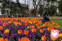能让你温柔平和的人，一定给了你极致的偏爱与包容；
能让你渐渐沉默的人，多半带给你无尽的失望与伤害；
能让你变得暴躁尖锐的人，定是让你攒满了委屈与心酸。
走到最后你才真正明白，好的婚姻，是治愈，不是消耗。
一个对的伴侣，真的可以，减轻你人生一半的人间疾苦配图