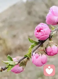 人是在变强的路上逐渐爱上自己的。那种爱，不是自恋，而是经历了无数次独自穿过暴风雨后的确认感。你开始信任自己的判断，欣赏自己的韧性，也坦然接受自己的局限，完全的专注于自己，不再根据他人的反应，来确认自己的价值。不再把别人当镜子来照自己。 ​​​