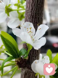 你一定要相信：
人生真的会突然变好的
而变好的契机
可能就是
任何一件你打算去做的事
你要好好吃饭睡觉 收抬房间
研究自已喜欢的东西
高高兴兴的把生命力养起来
自己浑身是劲气血十足
当你拥有明媚张扬向上的生命力的时候你就会发现原来生活的每一个瞬间都有无数众生在托举你向上走”那些你读过的书熬过的夜迈过的坎都在不动声色地把你推向更明亮的地方
只要你足够相信且全力以构
命运就会把你送到合适的量置上