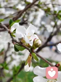 你一定要相信：
人生真的会突然变好的
而变好的契机
可能就是
任何一件你打算去做的事
你要好好吃饭睡觉 收抬房间
研究自已喜欢的东西
高高兴兴的把生命力养起来
自己浑身是劲气血十足
当你拥有明媚张扬向上的生命力的时候你就会发现原来生活的每一个瞬间都有无数众生在托举你向上走”那些你读过的书熬过的夜迈过的坎都在不动声色地把你推向更明亮的地方
只要你足够相信且全力以构
命运就会把你送到合适的量置上