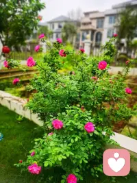 不需要你很有钱，但需要认知极高：认知包括了你的审美认知、人性认知、对时代和周期、万事万物规律的认知。这需要十年如一日的浸润积累，但一旦建立就是永生不倒的护城河。。。
​