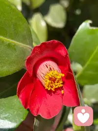 命运有时会不公，但你走的每一步都是未来惊喜的铺垫。允许自己慢下来，一步步稳稳的走！配图