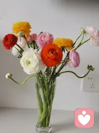 当苦难成为你生活里的养分的时候，你的生活就能过快乐了。