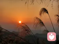 如果你和你老公三观不合，那就把他当做一个普通朋友，他想干嘛就干嘛，不要总是想着去改变他，刻在骨子里的教养是改不掉的，不必自寻烦恼。
一个父母都改变不了的人，你又何必自寻烦恼。把他当个工具使用就可以了，能赚钱就让他赚钱，能干活就干活，无法沟通，就不要去沟通。你做好自己就好。如果你选错了婚姻，那一定要选择个正确的生活方式。