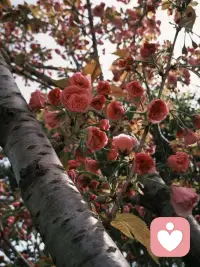 当你身后无一人可靠时，就是你逆风翻盘的时候，一定别放弃自己，也别怕，你比你想象的有力量！配图