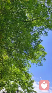 人只有在被爱。或不爱任何人的时候。才会情绪稳定。其实仔细想想。在你不喜欢任何人的时候。是你最快乐最轻松的时候。尽管。你可能会觉得有点孤单。但所有的时间。都是属于你自己的，你完全自由。有人说获得自由的方式是最终接受了没有人爱你，我觉得这是最浪漫且释怀的话。