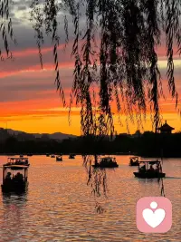 疗愈自己的过程会很痛很痛，疗愈之所以痛是你要亲手拆掉过去，为了保护自己筑起的那道厚厚的墙。这道墙曾经帮你隔绝伤害，熬过绝境。可现在它也是困住了你。拆墙的过程就是痛的来源，以前的你情绪积压的太久了，如一块大石头在心底，你多年的委屈，伤痛，恐惧都沉淀在那里，你曾经不敢哭，不敢反抗，不敢崩溃。它们从来没有消失过，只是休眠了。就像埋在身体里的一颗定时炸弹。当你开始疗愈时，就是主动唤醒它，那些多年的绝望，无助和心酸一次性涌上来，痛感会比当初事发更强烈。