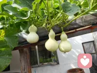 向内求全是答案，向外求全是痛苦
