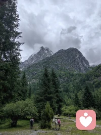 真正的放下，不是忘记，
而是想起时，心里不再起波澜。
放过别人，其实是放过自己，
把情绪还给情绪，把生活还给生活配图