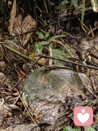 下雨天适合安安静静的待着，今天会遇到怎样的来访者呢？期待(*^o^*)配图