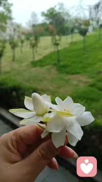 情绪是自己的，生活也是，别让外界左右心境。配图