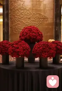 人的开窍，是在一瞬间。
——心悦配图